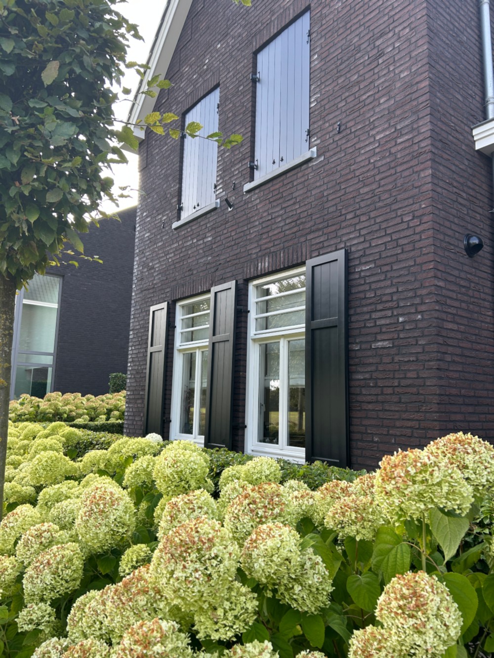 luiken_1.jpg